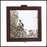 Green and Brown Peacock Box (Large)