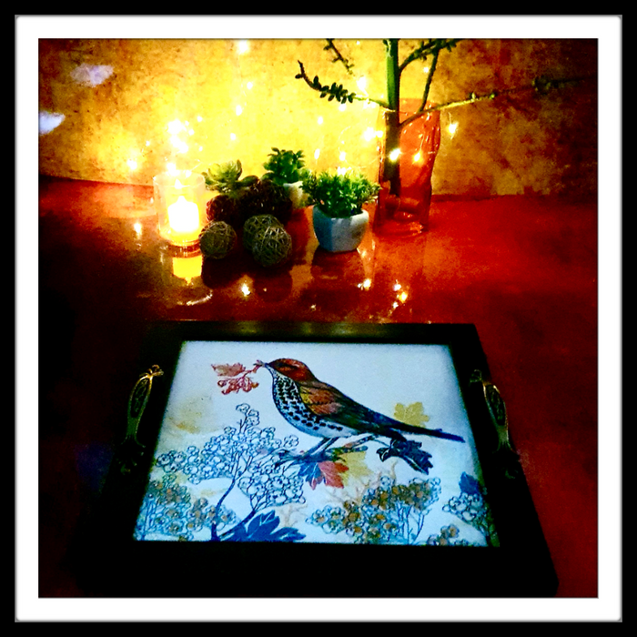 Forest Bird and Autumn Plants Square Tray